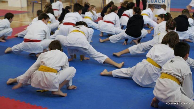 Karate kup mladosti